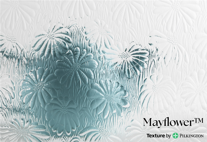 <strong>Mayflower™</strong>