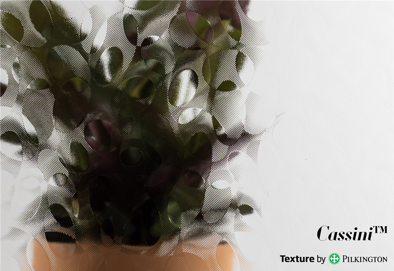 <strong>Cassini™</strong>