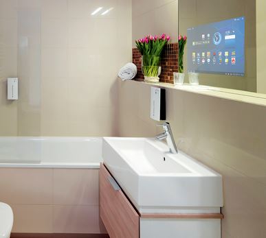 Pilkington MirroView Small