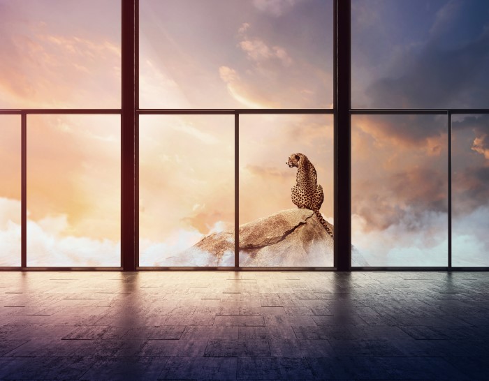 Pilkington Mirai low carbon glass